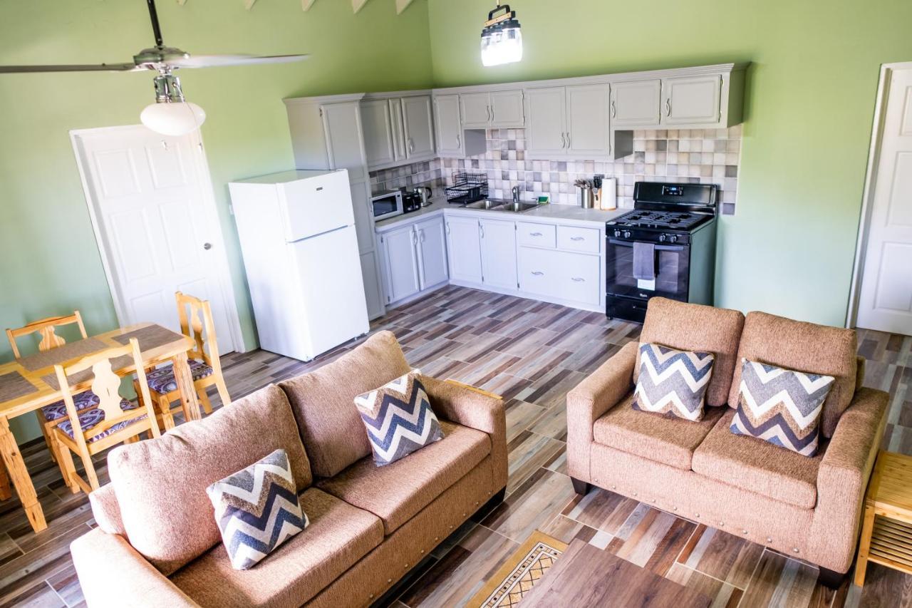 קינגסטאון Golden Palms Apartment מראה חיצוני תמונה